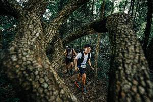 BIB: 
                            <button type="button" onclick="openModal(25392737)" class="btn btn-primary btn-sm float-right btn-popup" data-toggle="modal" data-target=".modal-high-quality">
                        <i class="fas fa-shopping-cart"></i> Add to Cart
                    </button>
                                            <button type="button" onclick="isThisMe(25392737, true)" class="btn btn-success btn-sm float-right btn-popup btn-isme hidden" data-toggle="tooltip" data-placement="bottom" title="นี่คือรูปของคุณใช่ไหม คลิกที่นี่เพื่อเอาเข้าอัลบั้ม">
                        <i class="fas fa-plus"></i> Add to album
                    </button>
                    <button type="button" onclick="isThisMe(25392737, false)" class="btn btn-warning btn-sm float-right btn-popup btn-isnotme hidden">
                        <i class="fas fa-ban"></i> Remove from album
                    </button>